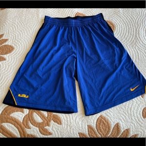 Nike Lebron shorts